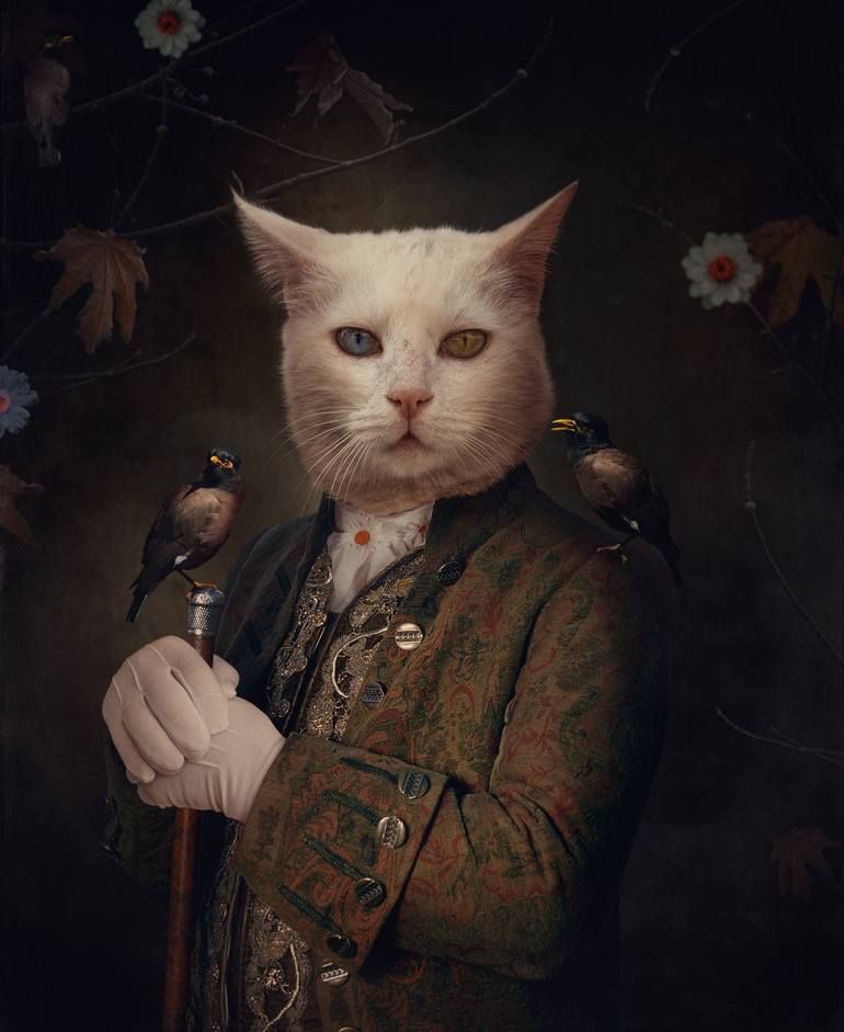 Le Comte du Missouri