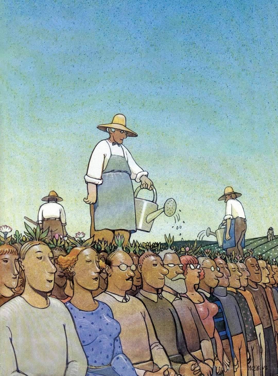 Laissez pousser !
