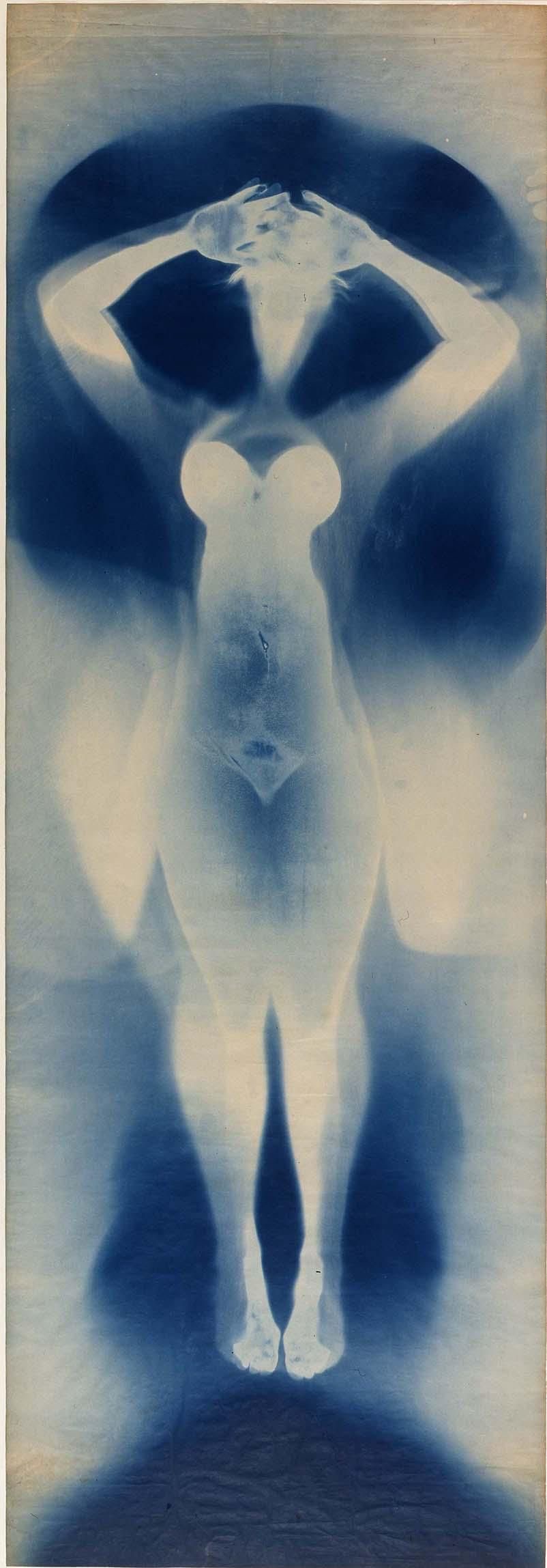 Image galerie