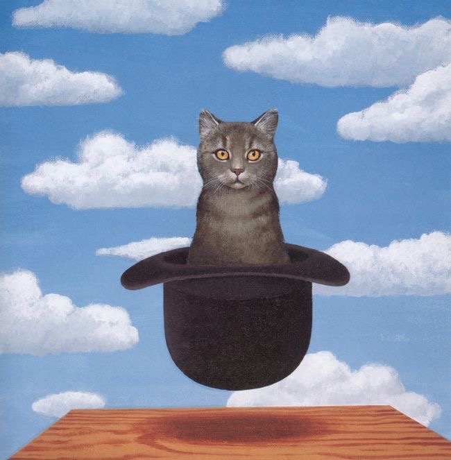 … et le chat bouda.