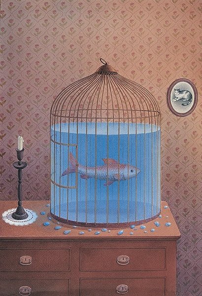 Image galerie