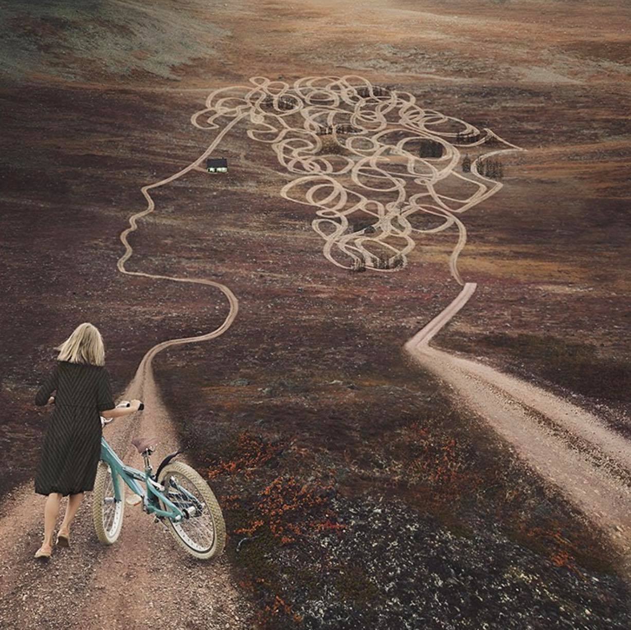 Le chemin de vie