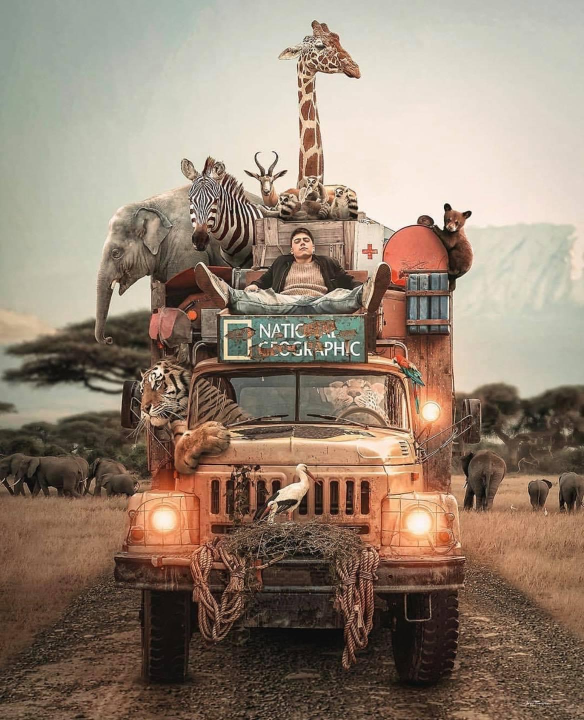 Noé Circus