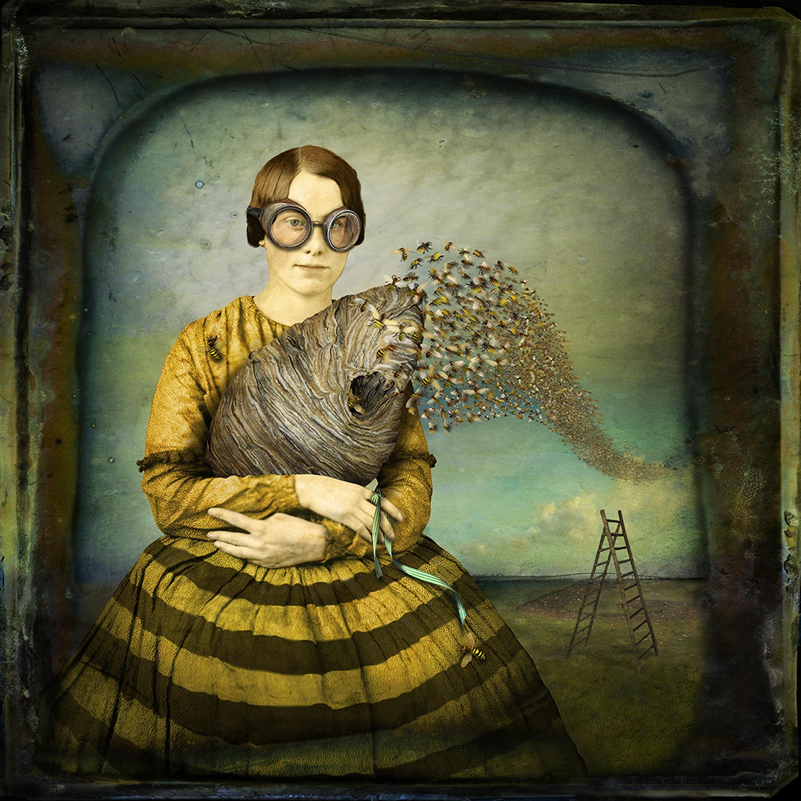Image galerie