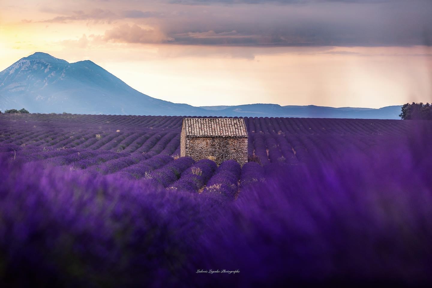 Valensole et Vincent - 1