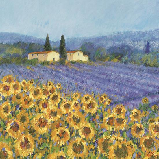 Valensole et Vincent - 2