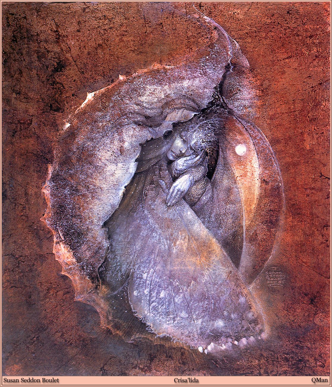 Image galerie