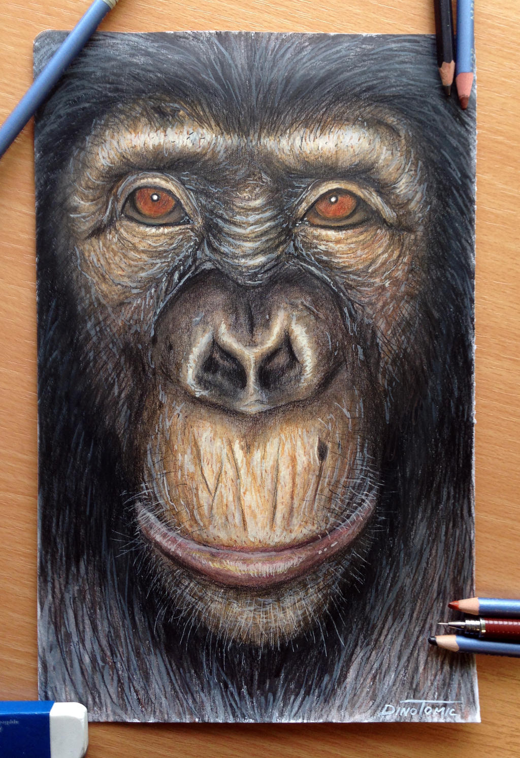 Au commencement, Dieu créa le singe