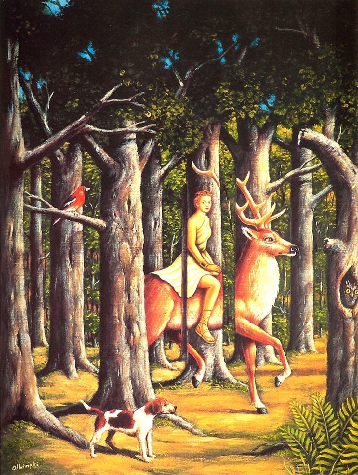 Pleins feux sur la chasse