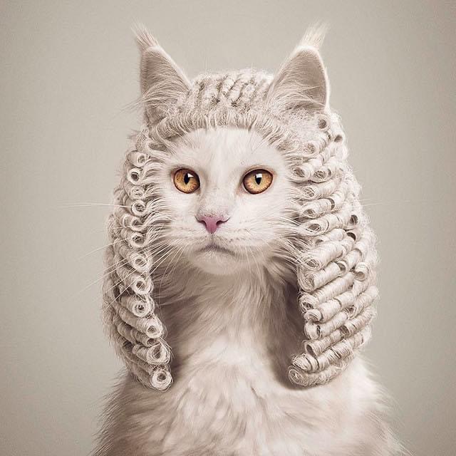 Mon chat, mon juge