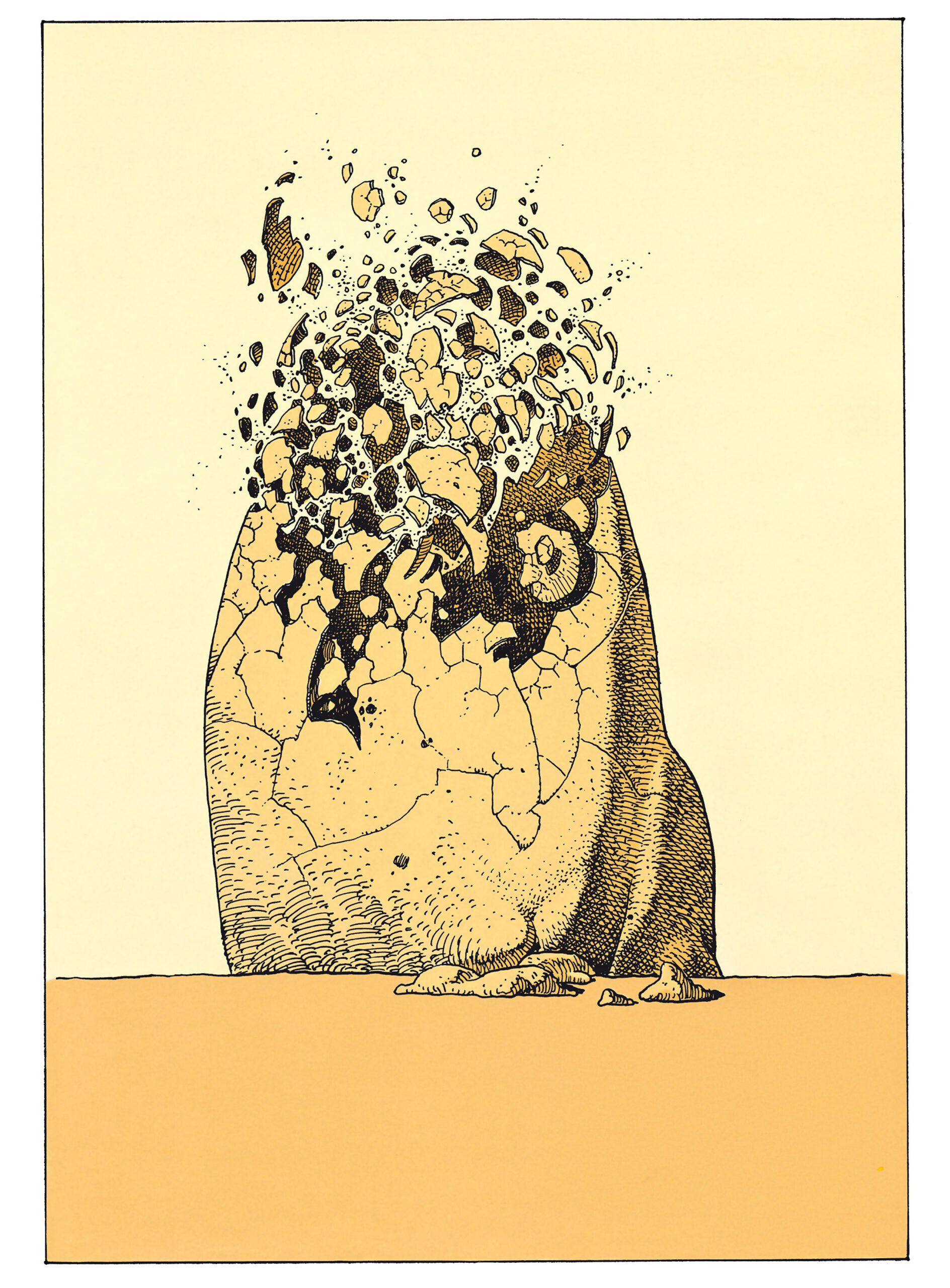 Image galerie