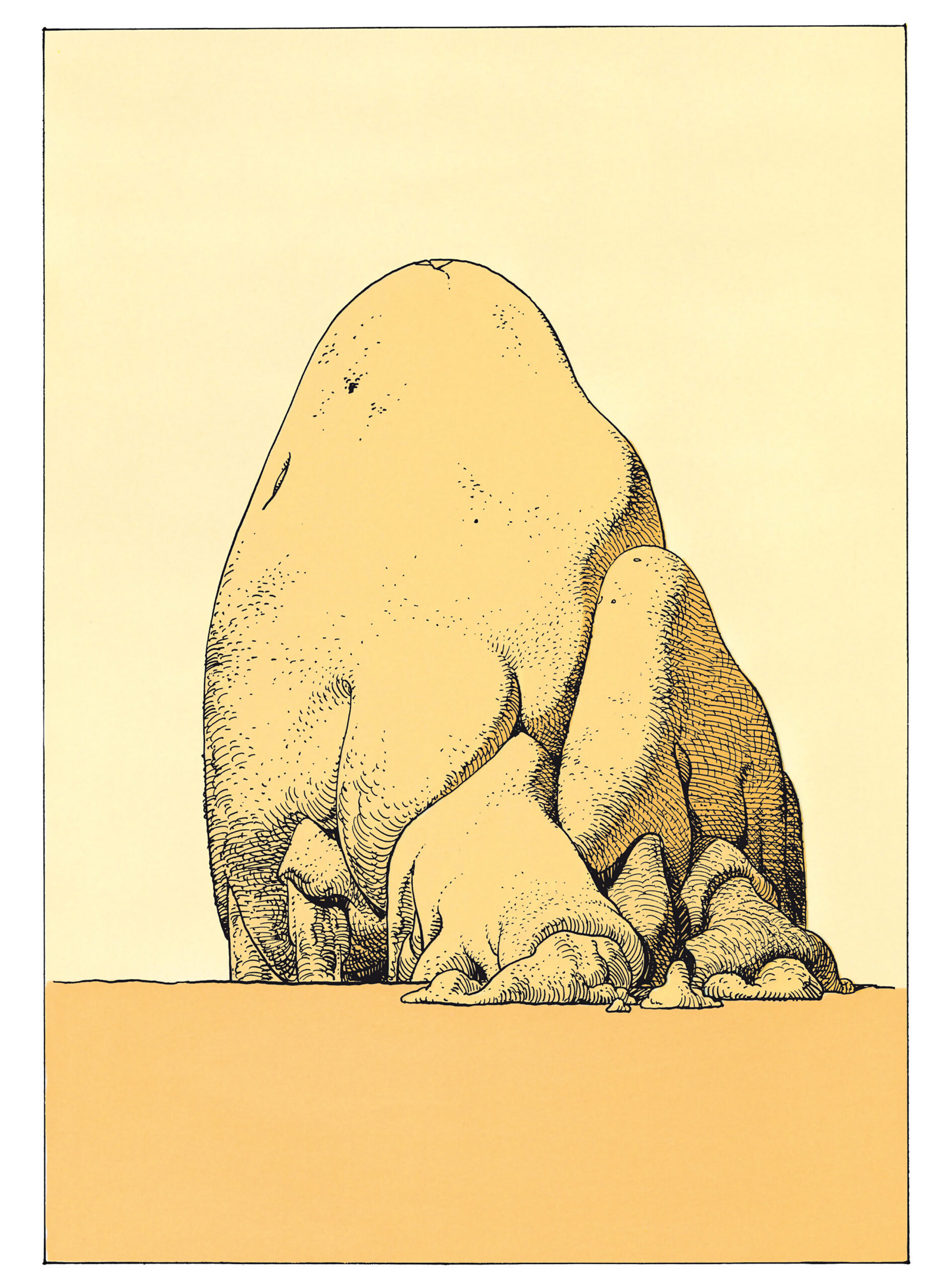 Image galerie
