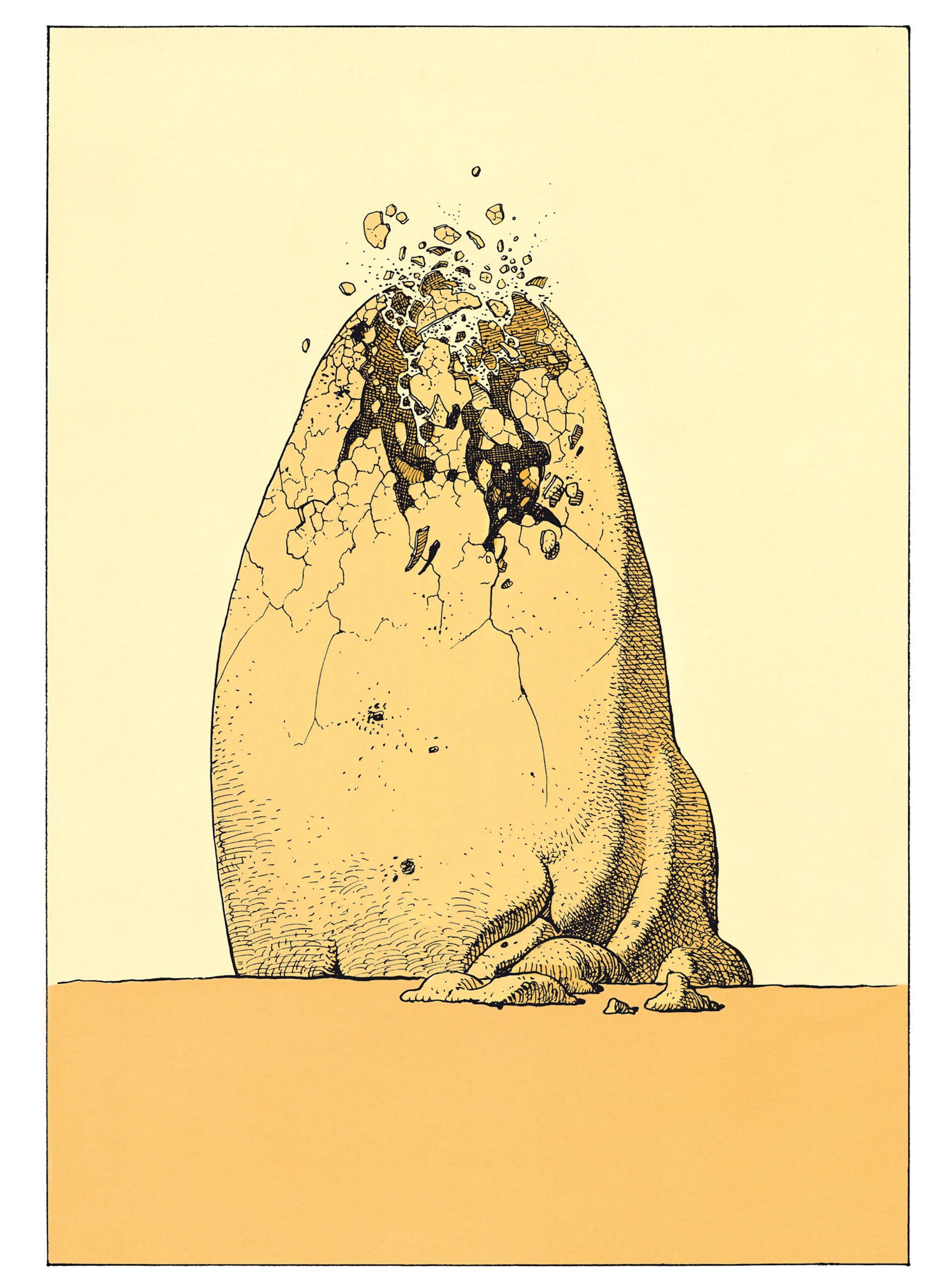 Image galerie