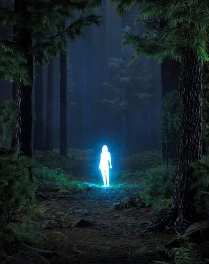 Pleine apparition
