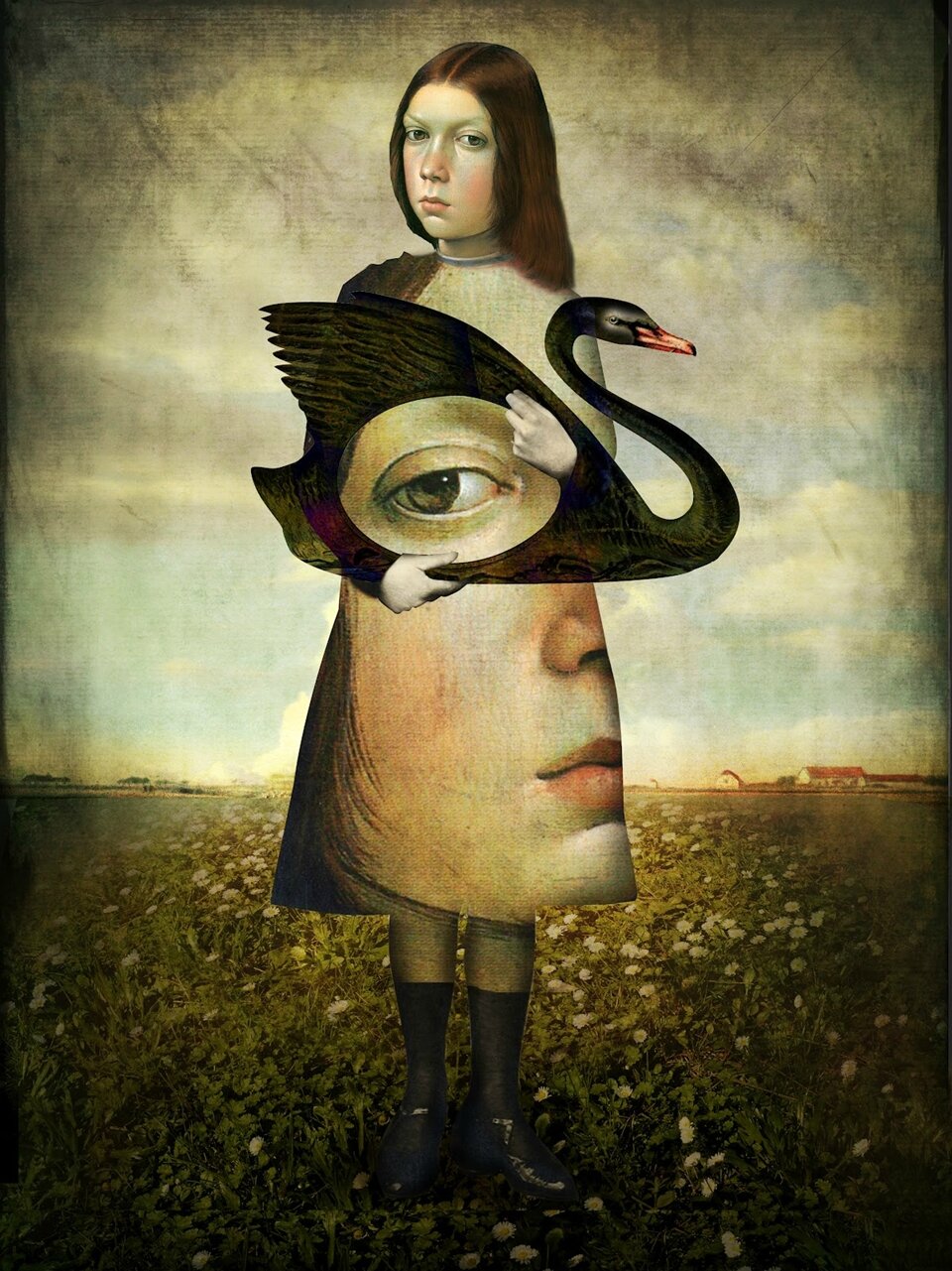L’œil du cygne