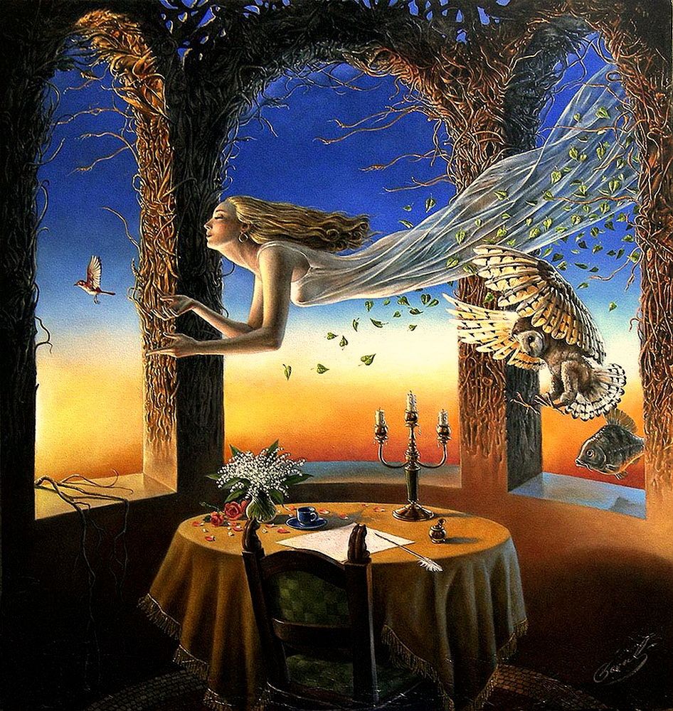 Image galerie