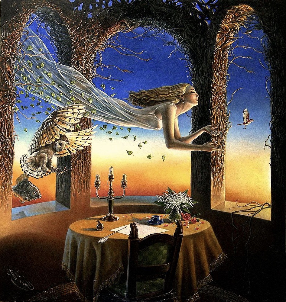 Image galerie