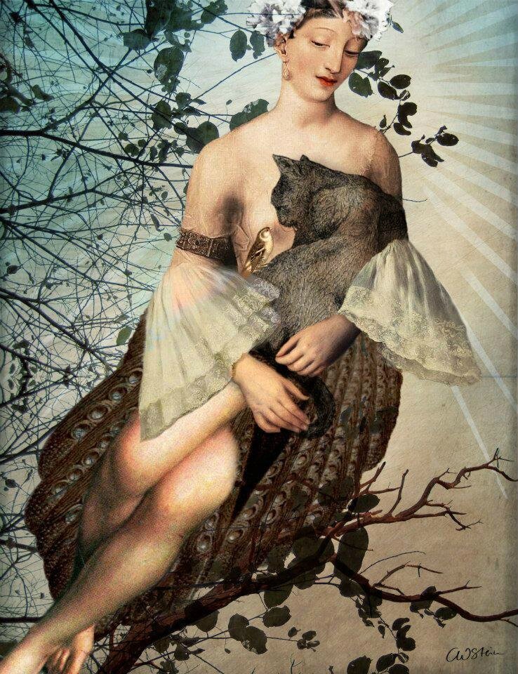 Image galerie