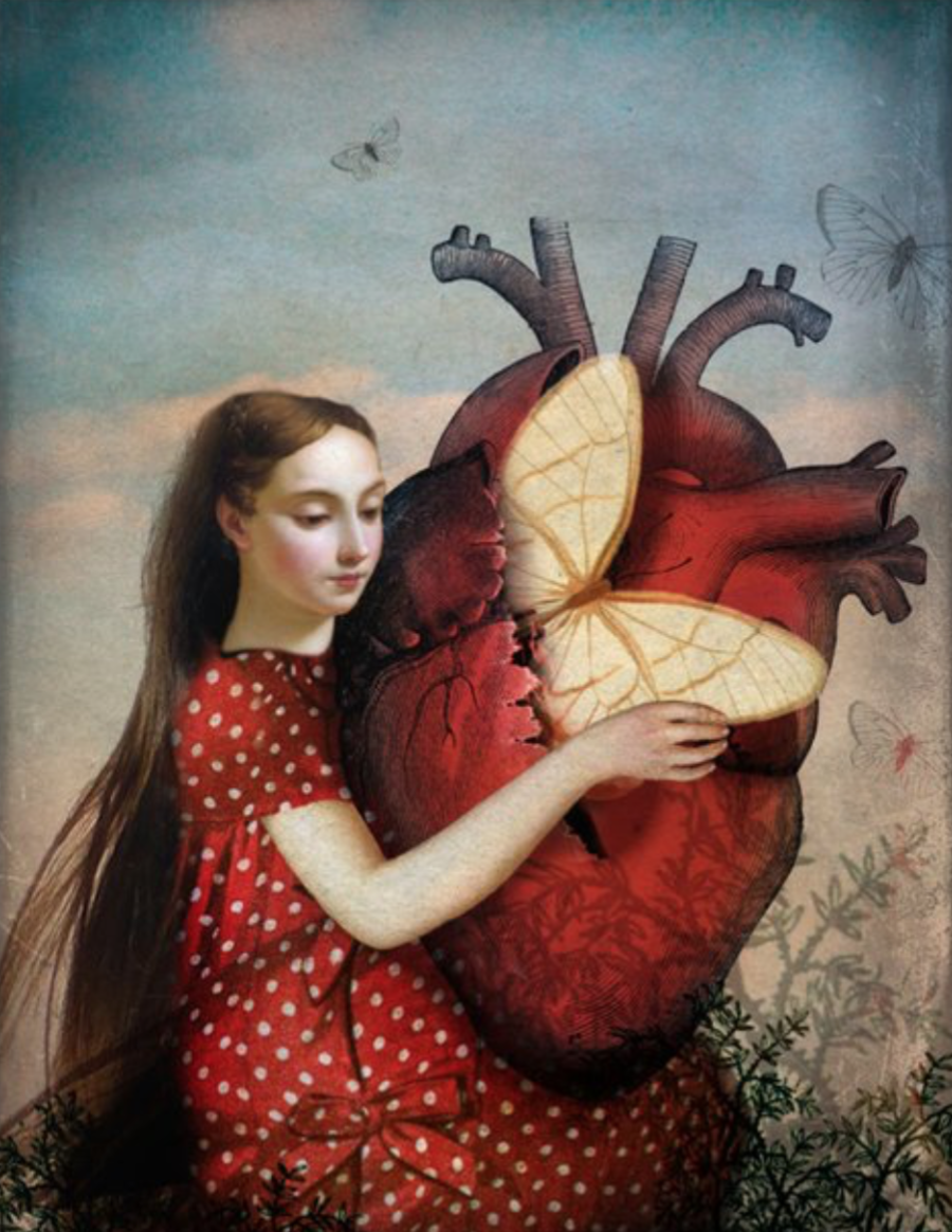 Cœur de papillon