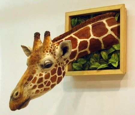 Image galerie