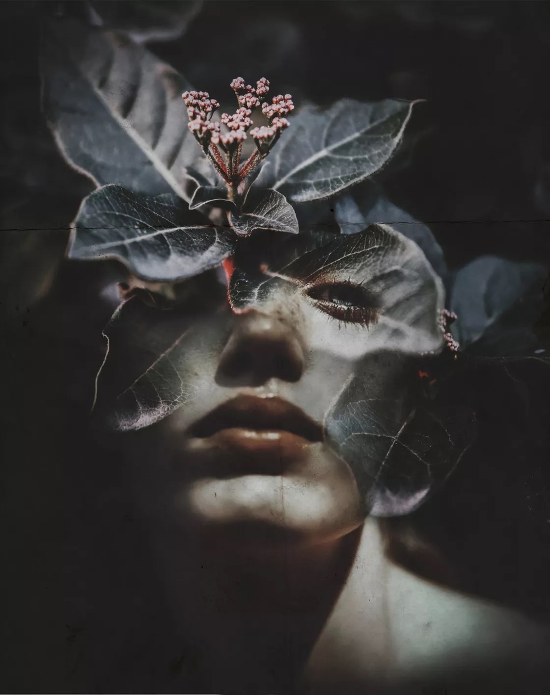 Portrait nature