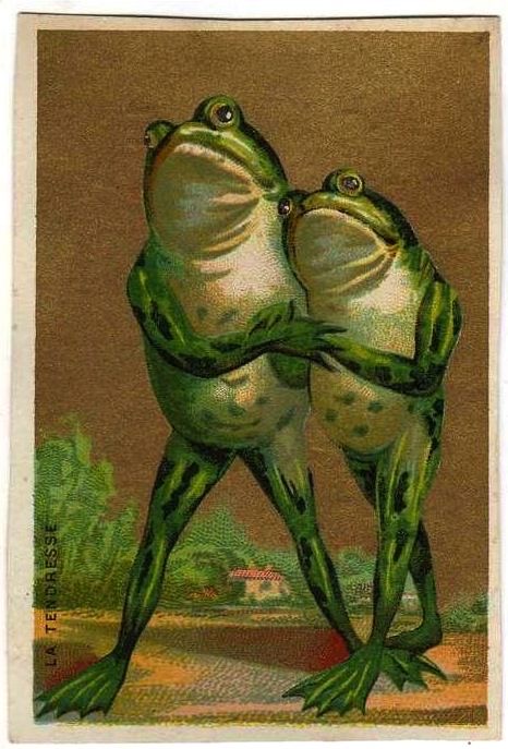 Image galerie