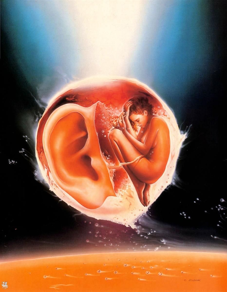 L’oreille de l’Univers
