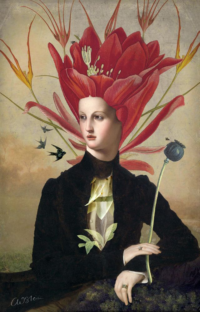 Image galerie