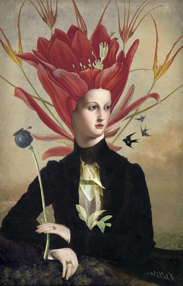 Image galerie