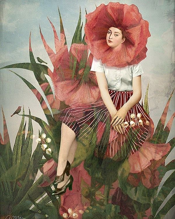 Image galerie
