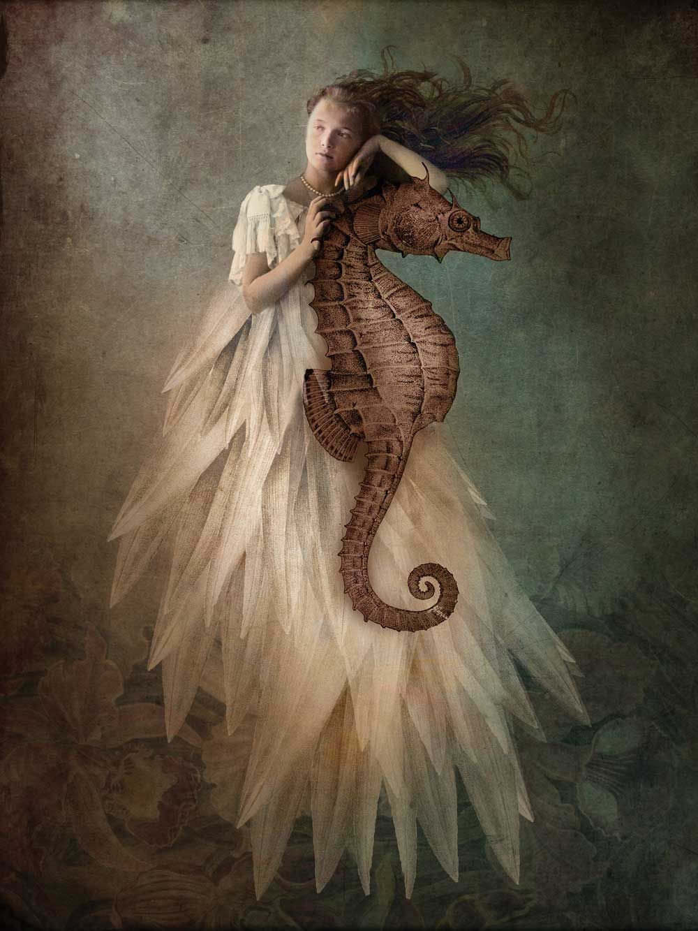 Mon hippocampe à moi