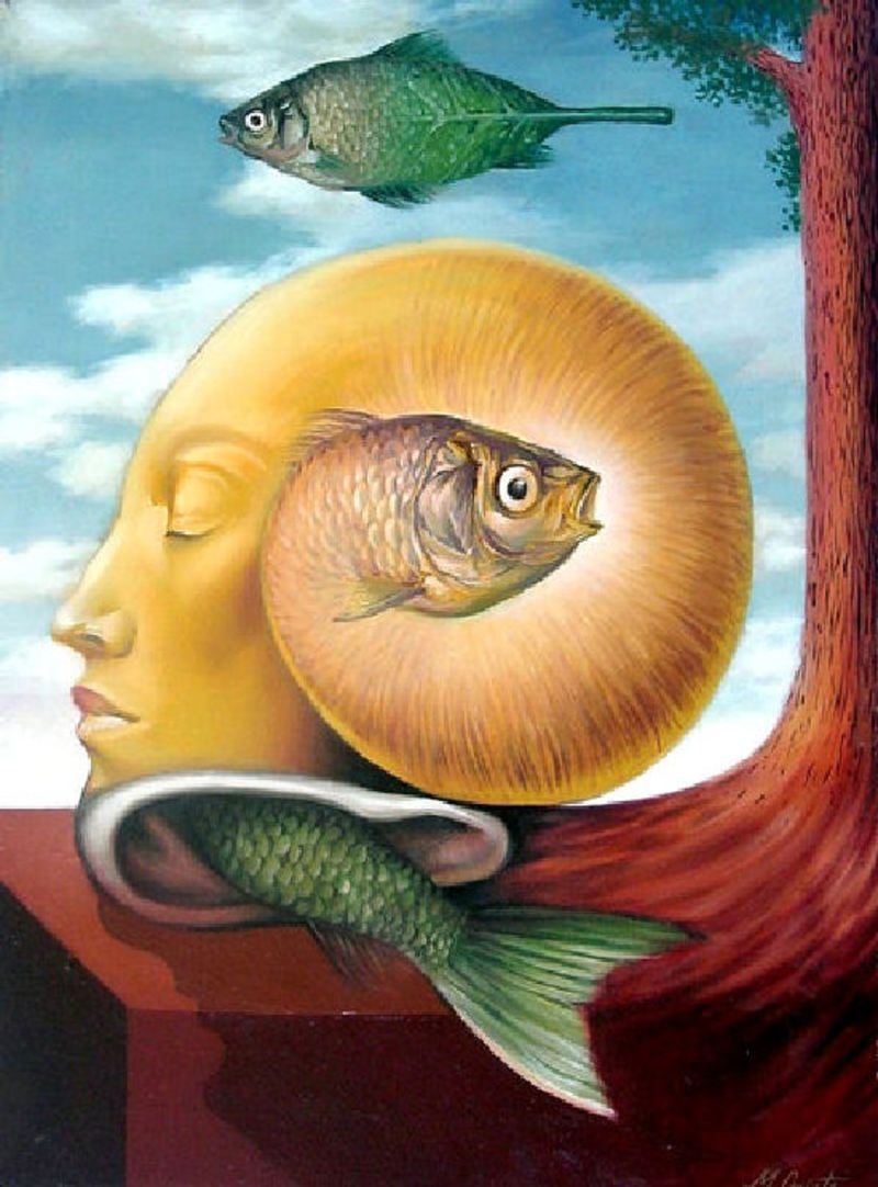 Image galerie
