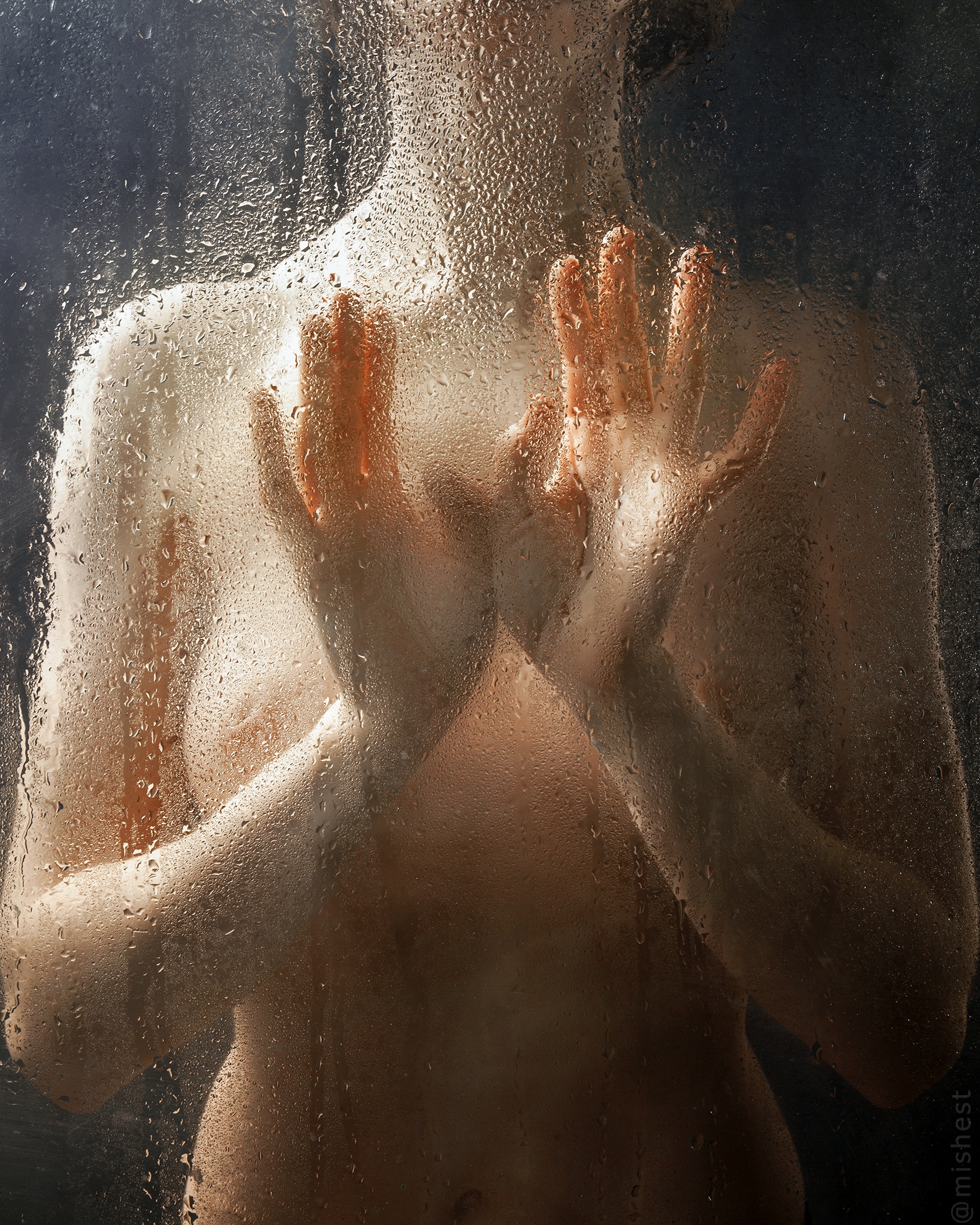 Image galerie