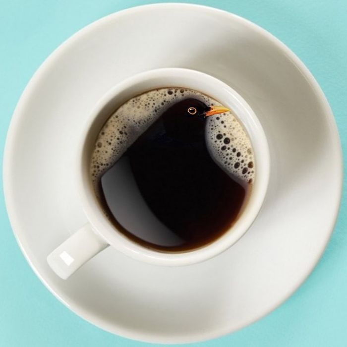 Dans le cormarc de café