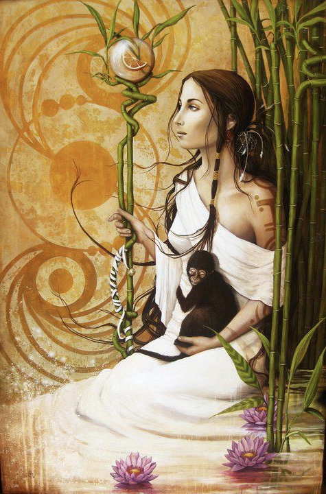 Image galerie