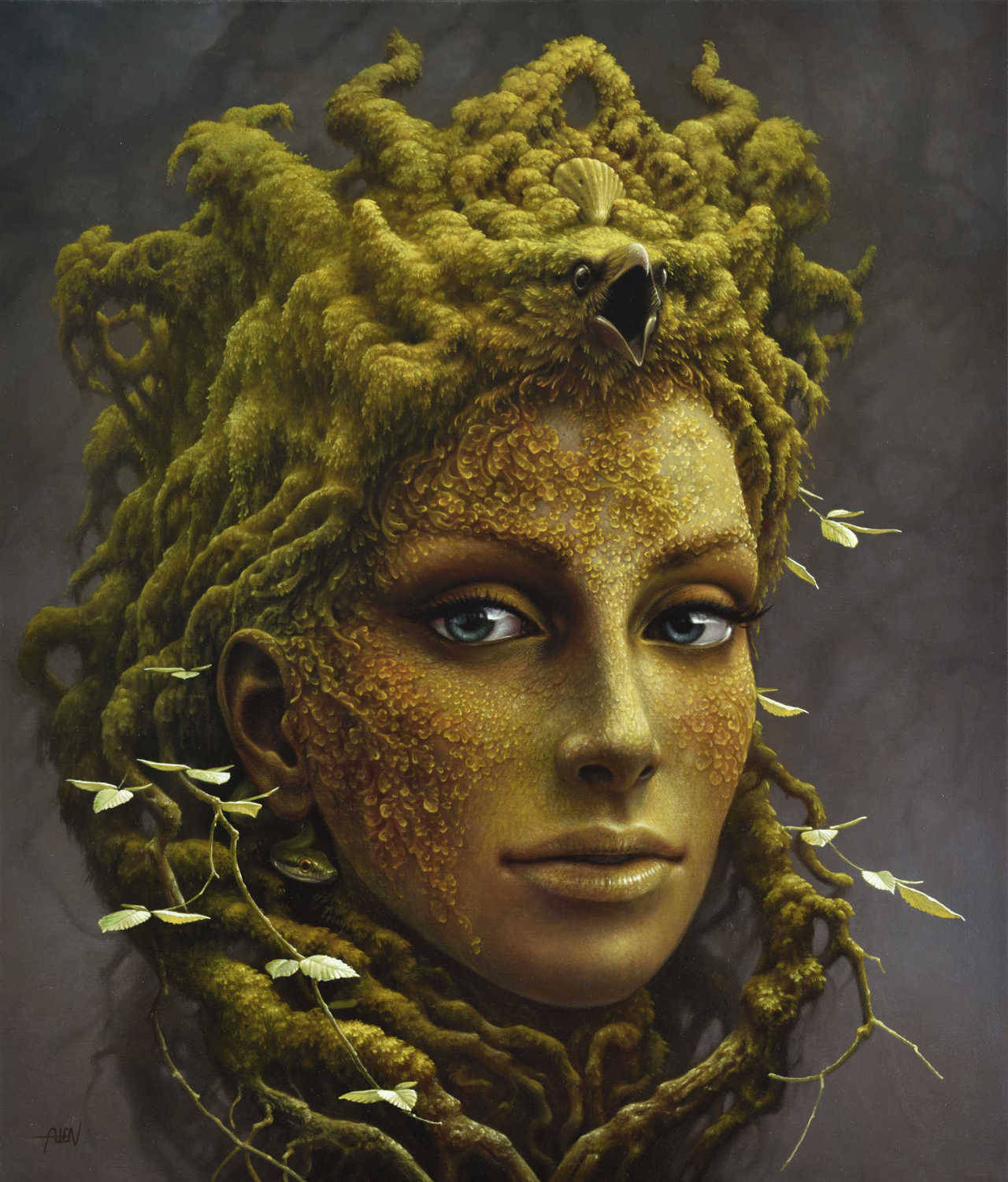 Image galerie