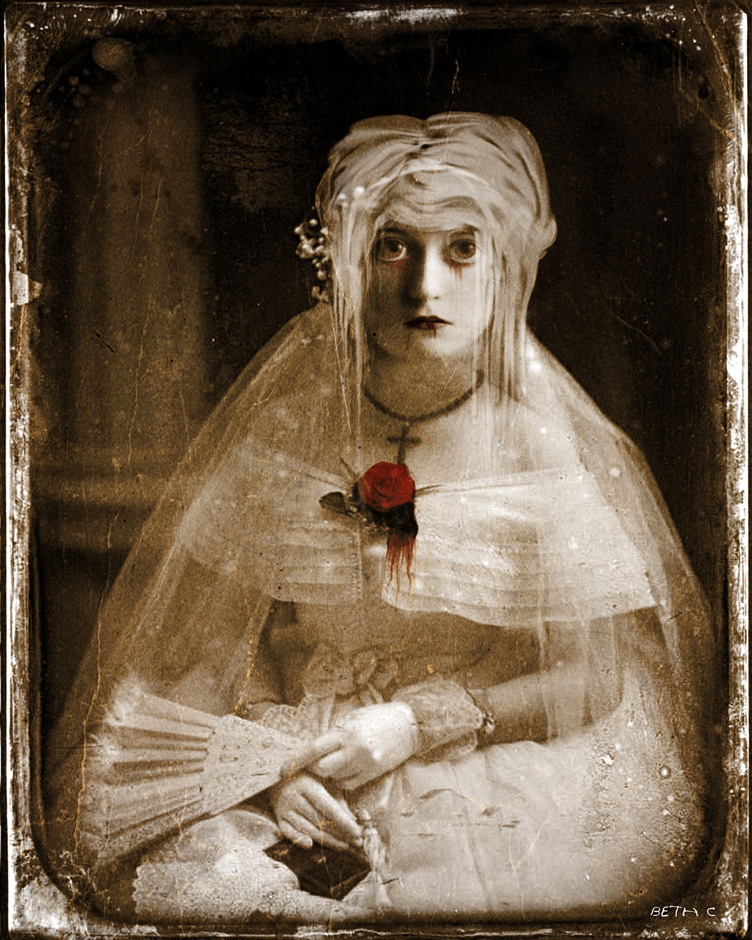 Image galerie