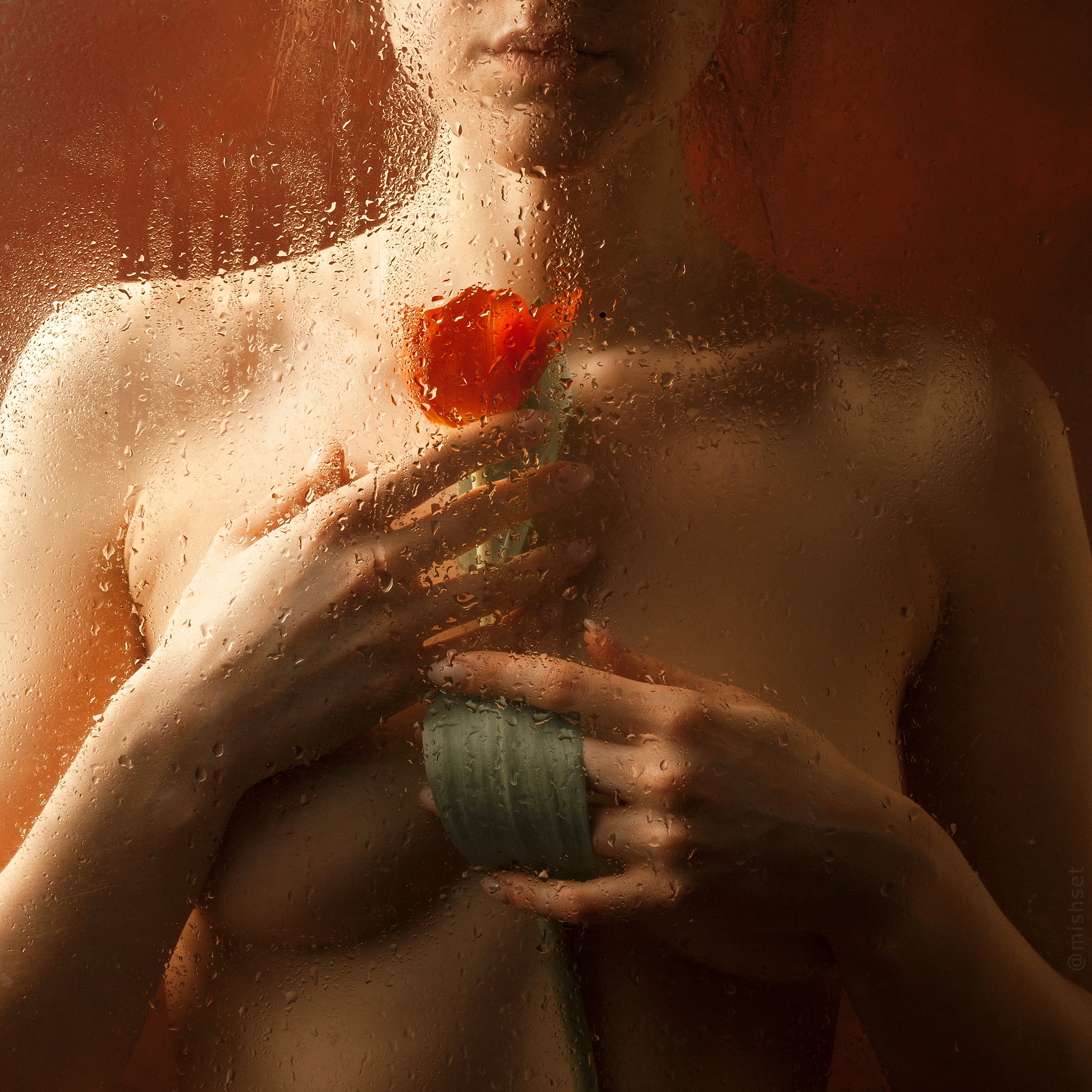 Image galerie