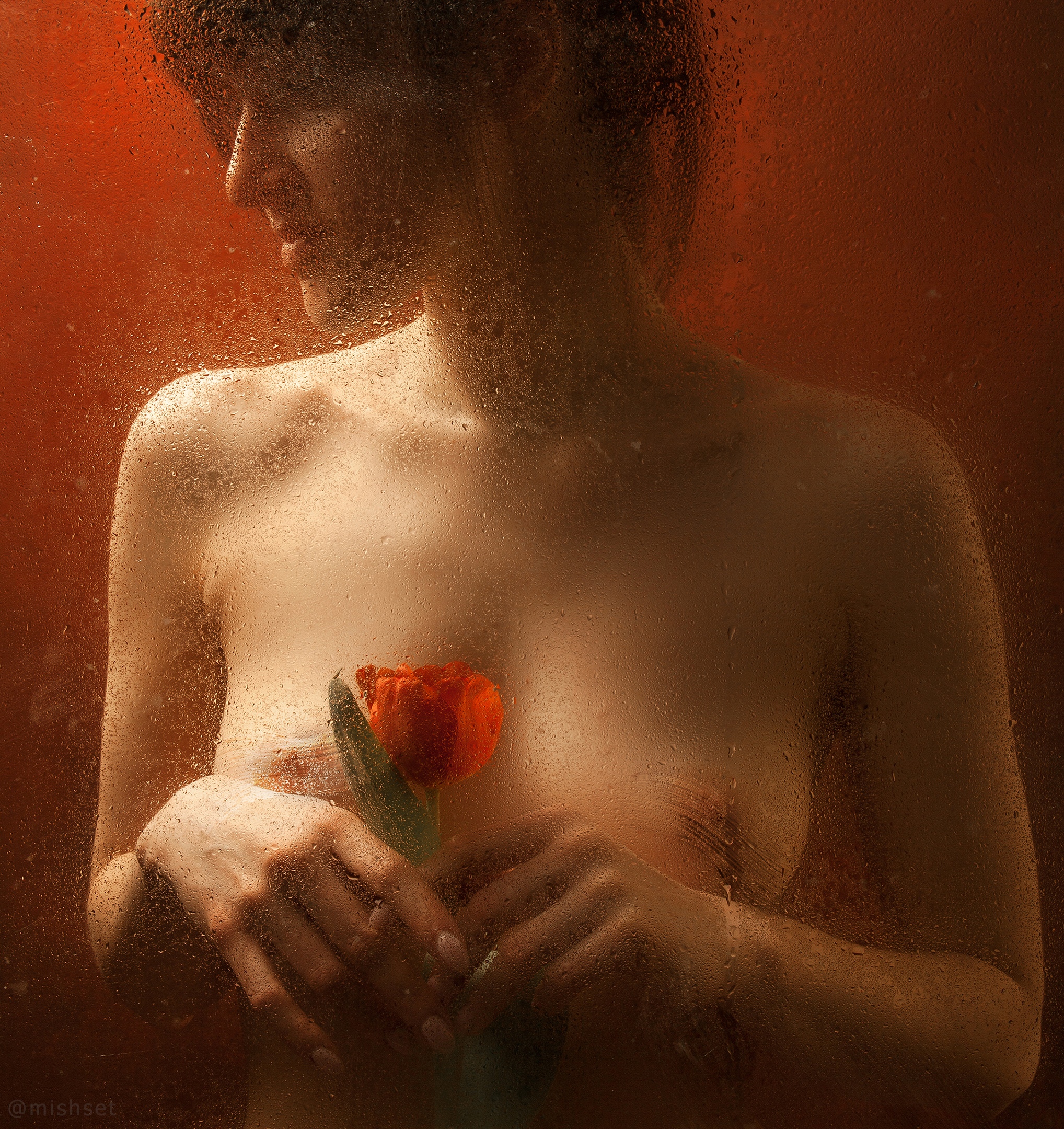 Image galerie