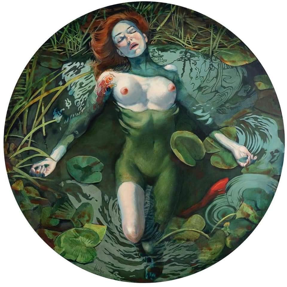 Image galerie
