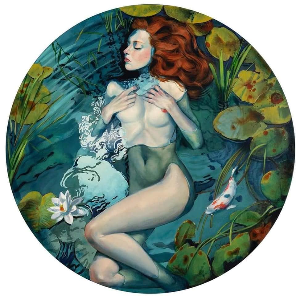 Image galerie