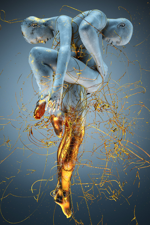 Image galerie