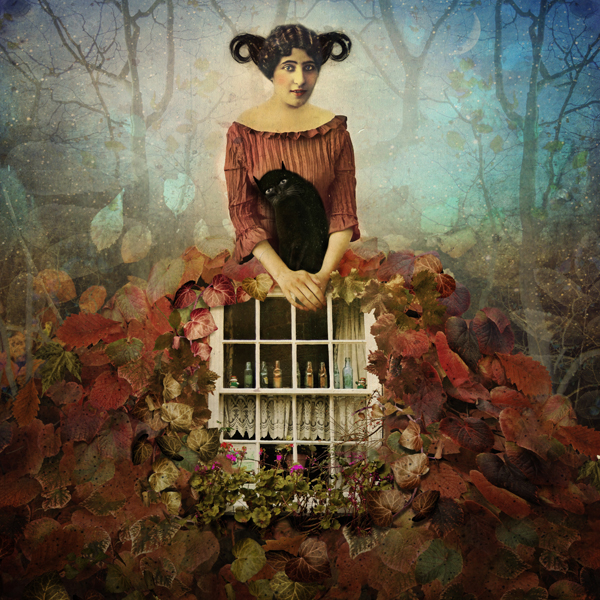 Image galerie