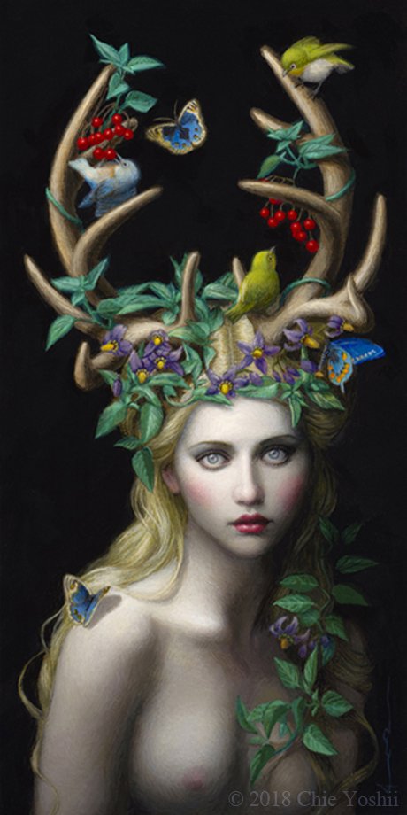 Image galerie