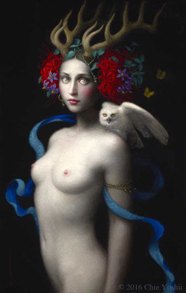 Image galerie