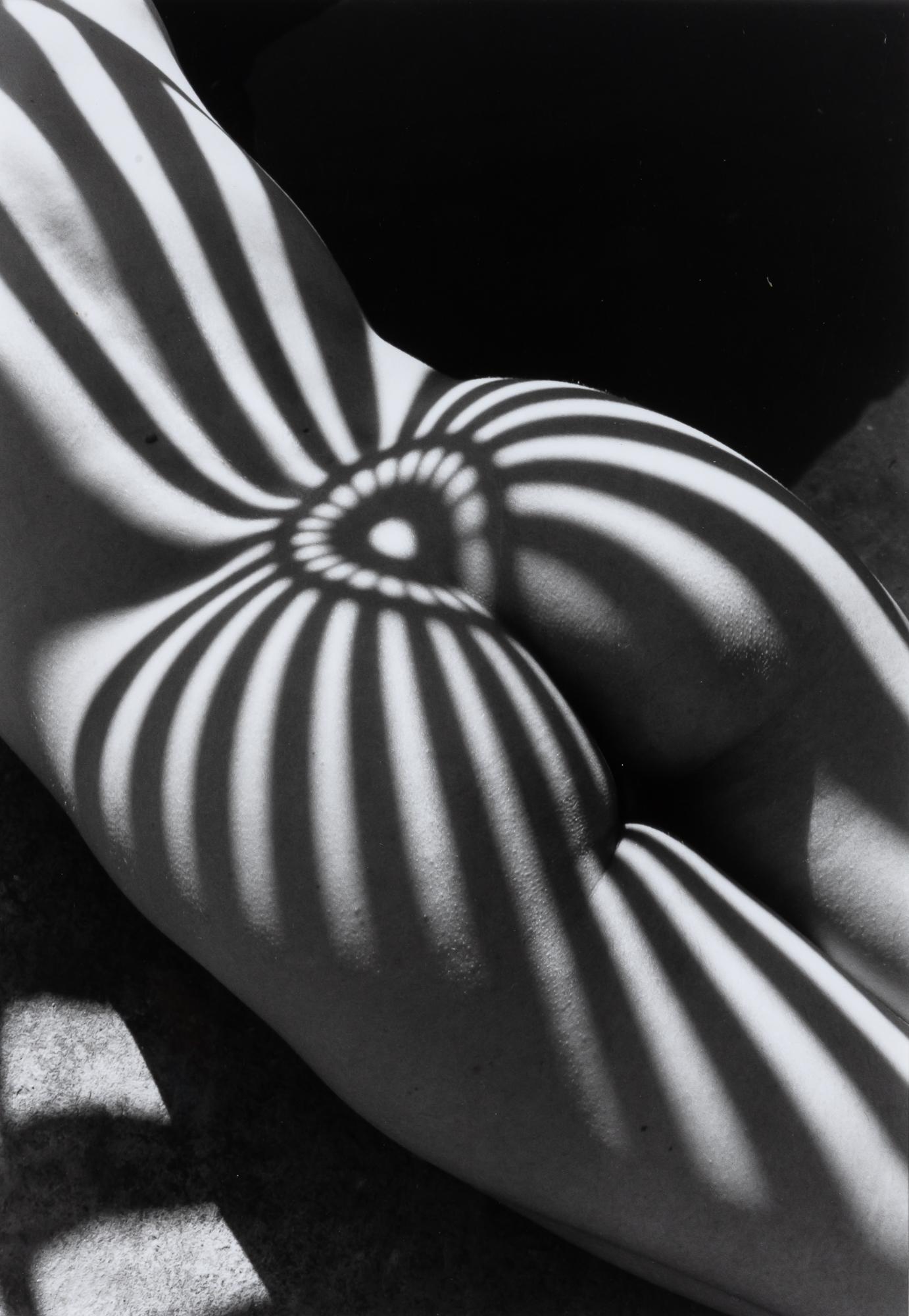 Image galerie