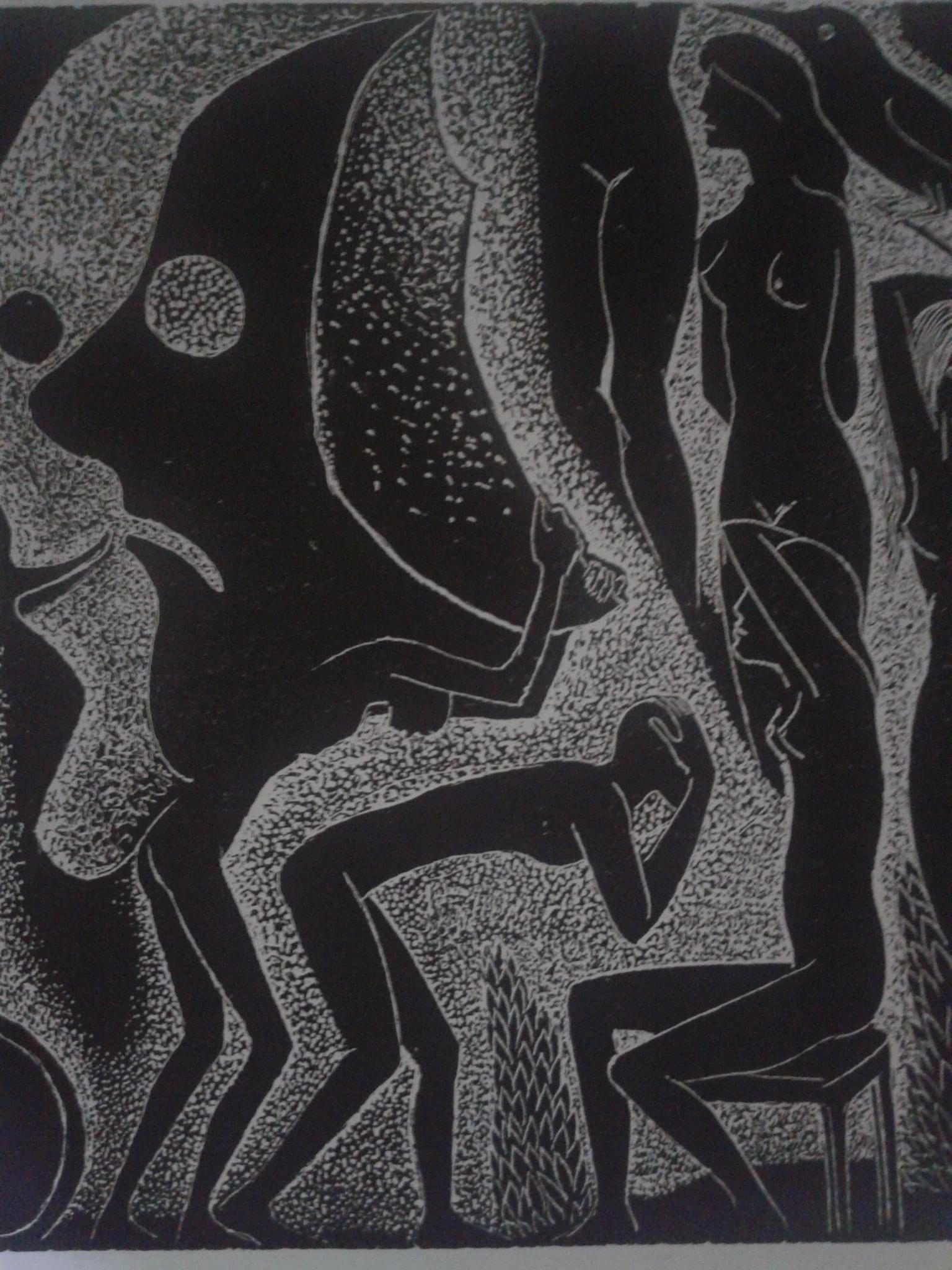 Image galerie