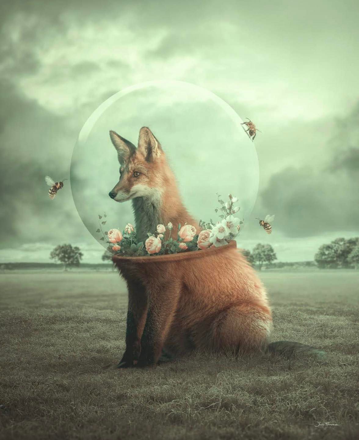 Le renard voyageur