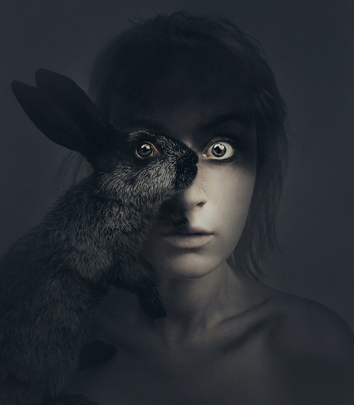 Image galerie