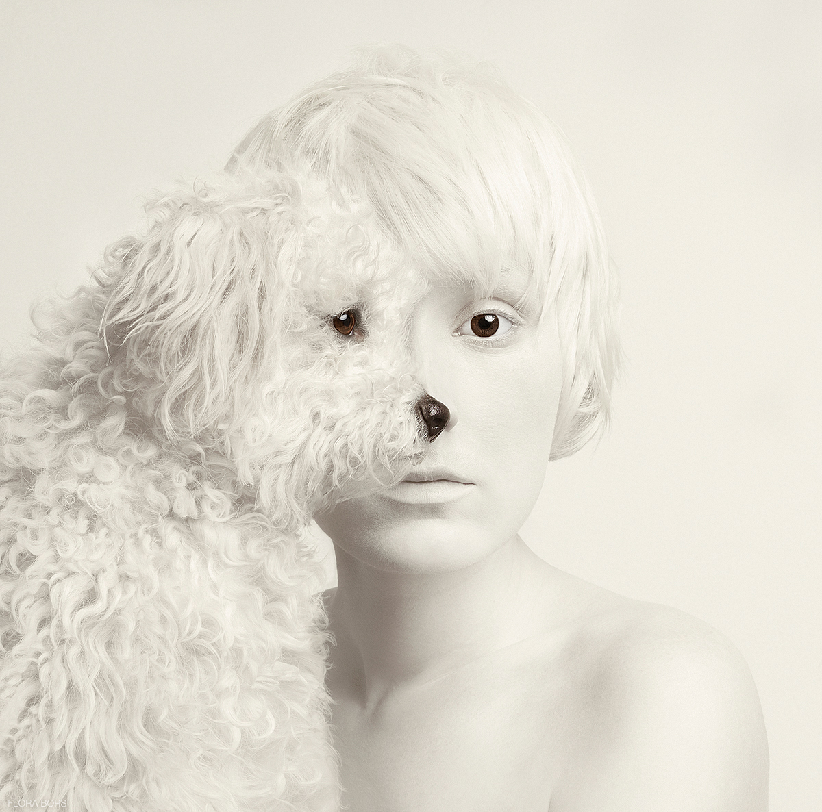 Image galerie